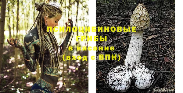 дживик Михайловка