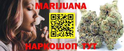 индика Гай