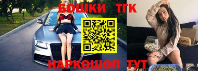 индика Гай