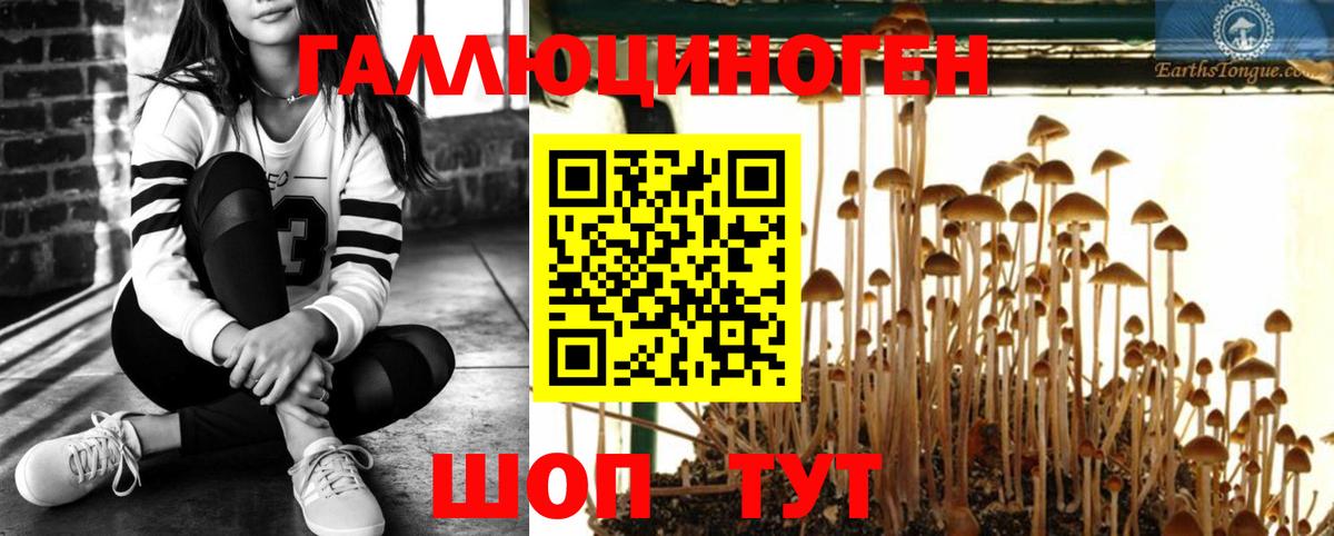 Псилоцибиновые грибы Magic Shrooms  Вход с VPN  Нижнекамск 