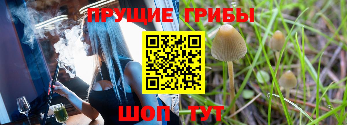 Псилоцибиновые грибы Psilocybine cubensis Нижнекамск